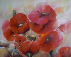 mohn_65x80.jpg